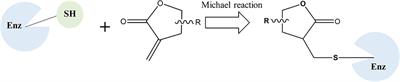 Dual-Specificity Phosphatase CDC25B Was Inhibited by Natural Product HB-21 Through Covalently Binding to the Active Site